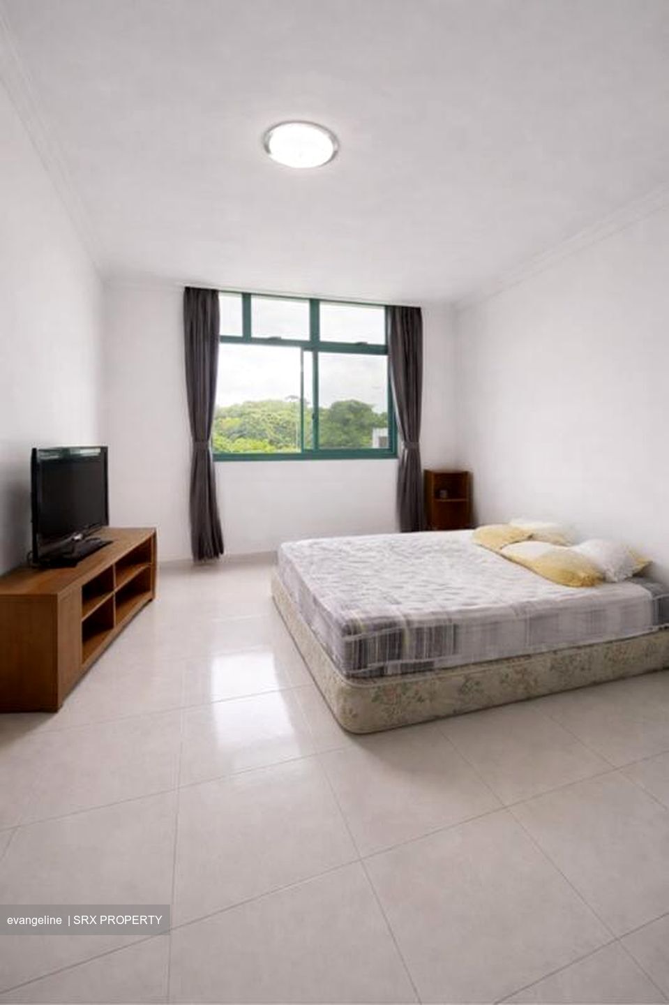 Blk 478 Segar Gardens (Bukit Panjang), HDB Executive #515884681